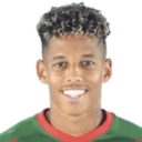 André Vidigal