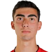 A. Vardanyan