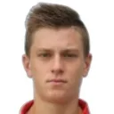 N. Marinšek