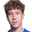 J. Driessen