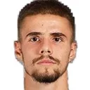 V. Naydenov