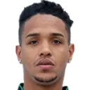 Rodrigo Henrique