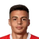 K. Fatkić