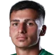 M. Casoli