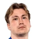V. Tikkanen
