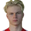 V. Johansson
