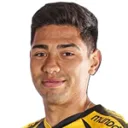 F. Salinas