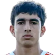 A. Gareginyan