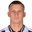 D. Pejičić