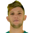 J. Lungarzo
