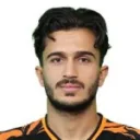 M. Hosseini