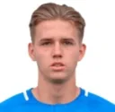L. Holtkamp