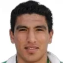 L. Jerez Silva