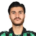 C. Celik