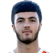 T. Sumbulyan