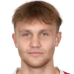 D. Hájek