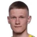 P. Pashevich