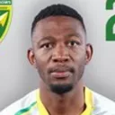 N. Dlamini