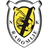 NK Radomlje logo
