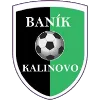 TJ Baník Kalinovo logo