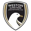 Weston-super-Mare logo