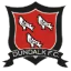 Dundalk logo