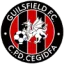 Guilsfield logo