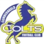 Cumbernauld Colts logo