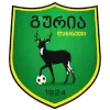 Guria Lanchkhuti logo