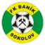 Baník Sokolov logo