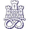 Newcastle Town logo