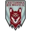 Chattanooga Red Wolves logo