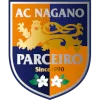 Nagano Parceiro logo