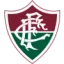 Fluminense RJ U20 logo