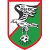 K.S. Sokol Kleczew logo
