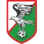 K.S. Sokol Kleczew logo