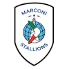 Marconi Stallions U20 logo