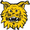 Ilves logo