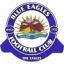 Blue Eagles logo