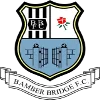 Bamber Bridge logo