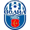 Volna Pinsk logo