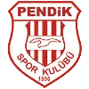 Pendikspor logo