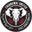Chiangmai United logo