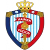 Haimen Codion logo