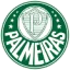 Sociedade Esportiva Palmeiras U20 logo