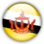 Brunei U20 logo