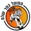 Hapoel Kfar Shalem logo