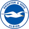 Brighton & Hove Albion logo