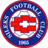 Sileks logo
