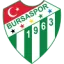 Bursaspor logo